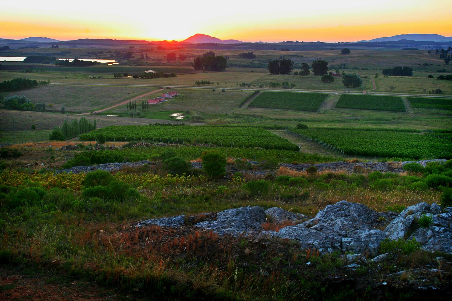 Bodega Alto de la Ballena